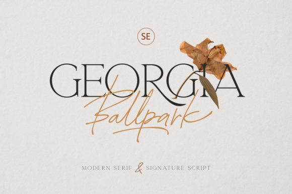 Georgia Ballpark Font Review for Elegant Campaign Design